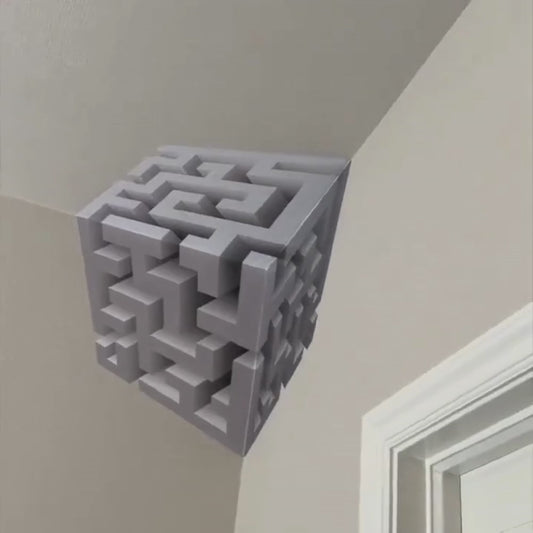 THE ILLUSION BOX ™